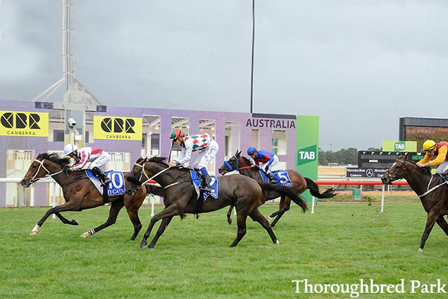 Racecourse : Canberra.