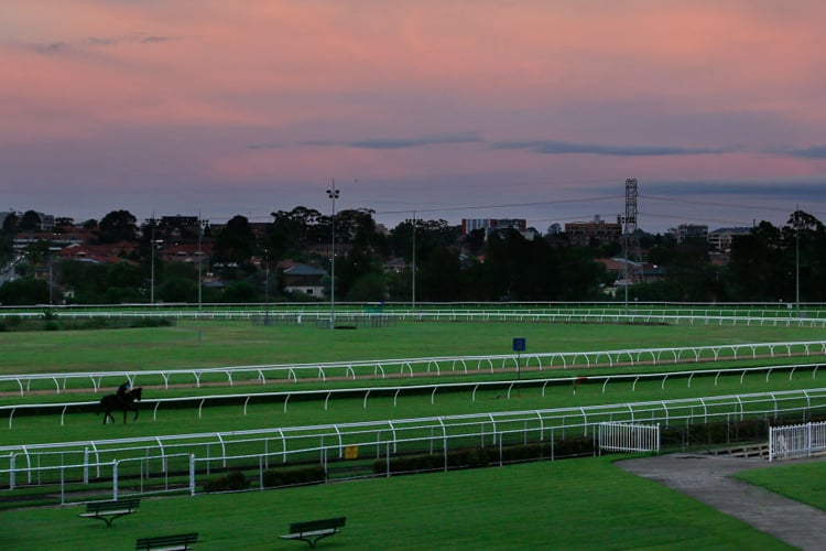 Racecourse : Canterbury.