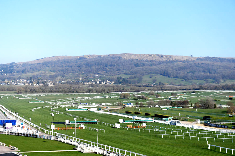 Racecourse : Cheltenham.