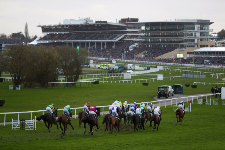 Racecourse : Cheltenham.