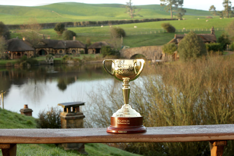 Melbourne Cup on display.