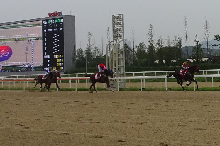 Finish of the Korea Cup