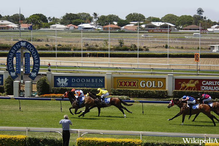 Racecourse : Doomben.