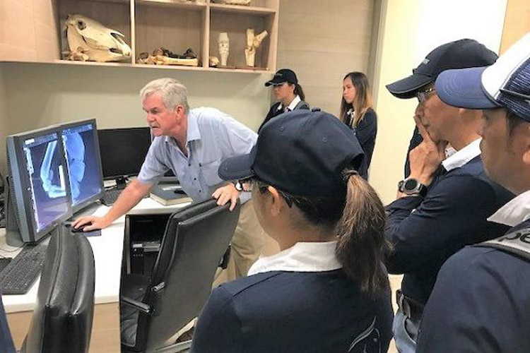 Singapore Turf Club Head of Veterinary Department Dr Koos van den Berg shows his attentive audience a scan of a horse leg.