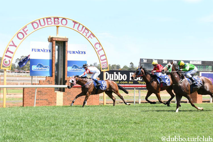 Racecourse : Dubbo.