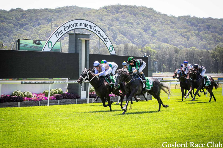 Racing at Gosford.