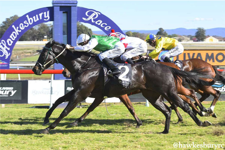 Racecourse : Hawkesbury.