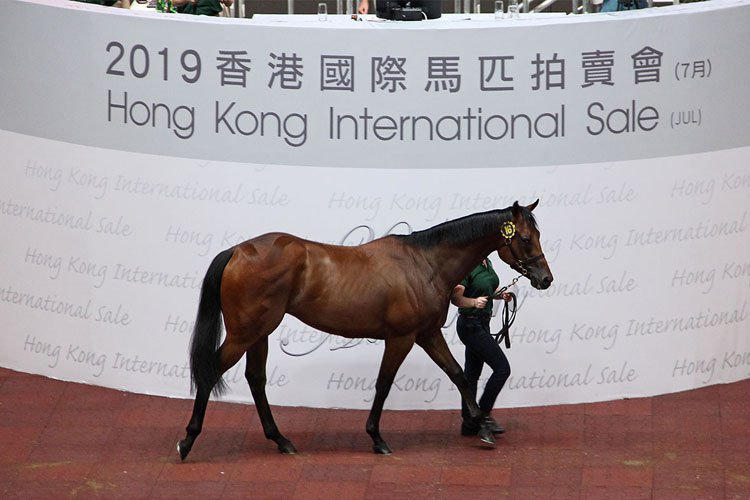 Lot 16 fetches HK Dollar 4.8 million at Hong Kong International sale.