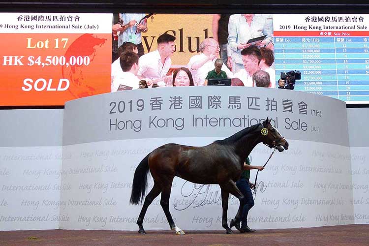 Lot 17, a son of Frankel, sells for HK Dollar 4.5 million.