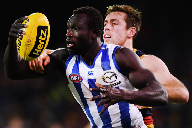 MAJAK DAW of the Kangaroos competes with Richard Douglas of the Adelaide Crows during the AFL match between the Adelaide Crows and North Melbourne Kangaroos at Adelaide Oval in Adelaide, Australia.