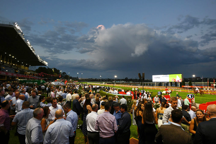 Racecourse : Moonee Valley.