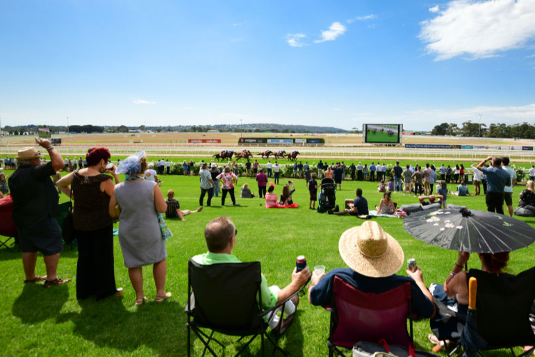 Racecourse :Mornington.