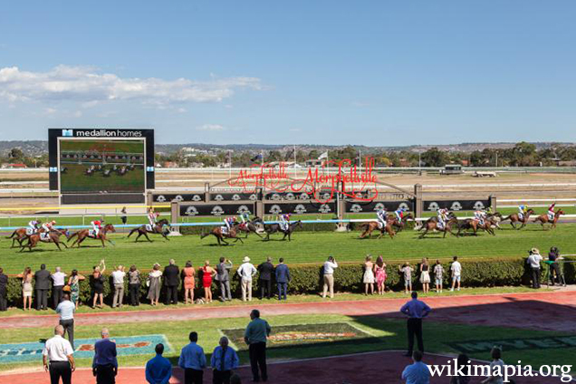 Racecourse : Morphettville.