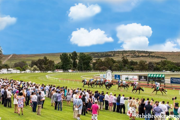 Racecourse : Muswellbrook.