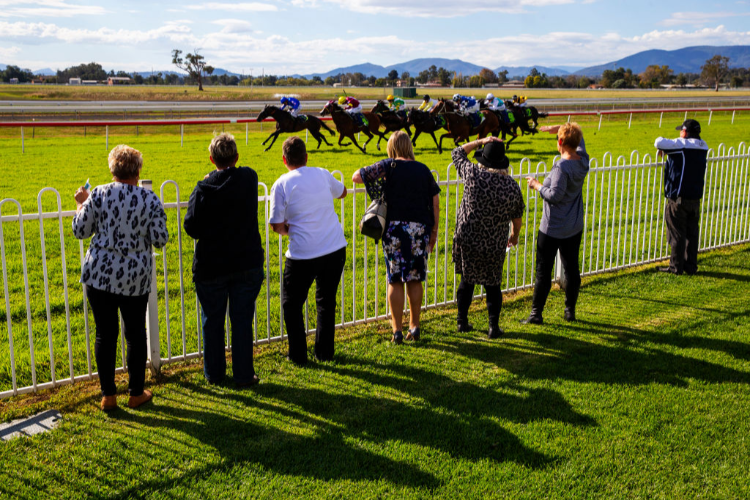 Racecourse : Muswellbrook.