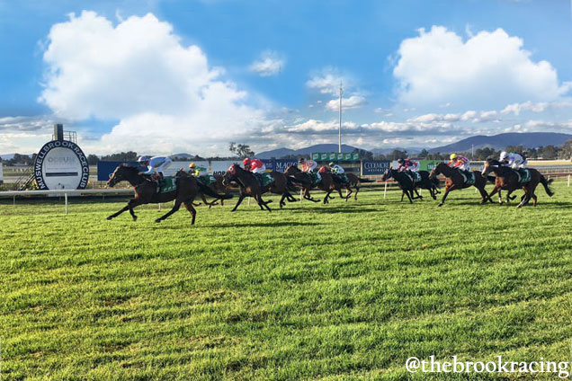 Racing at Muswellbrook