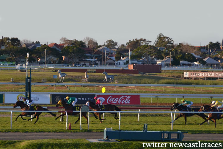 Racecourse : Newcastle.