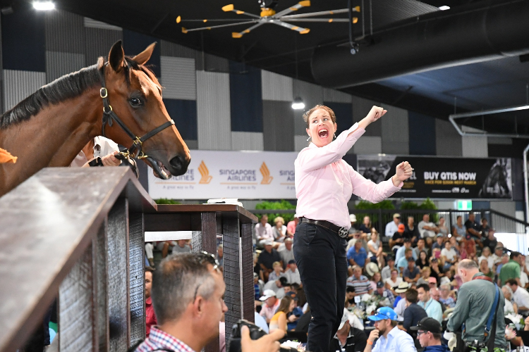 Magic Millions Yearling Sales.