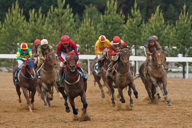 Thoroughbred racing at the Yulong racecourse in the Chinese county of Youyu in the Shanxi Province