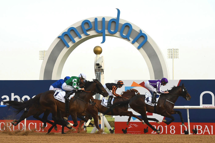 Racecourse : Meydan.