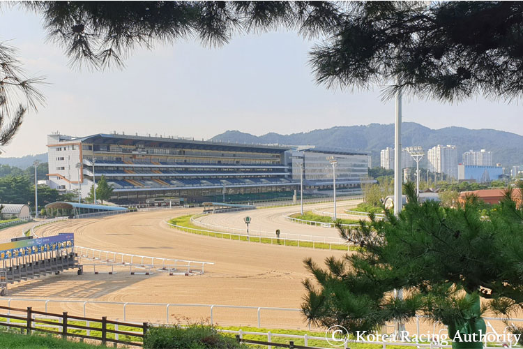 Racecourse : Seoul