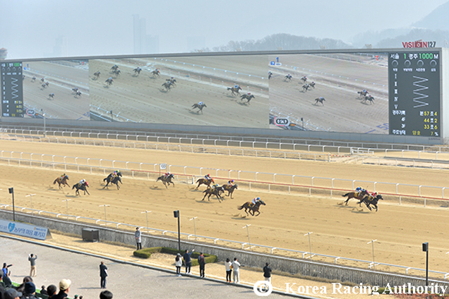 Racecourse : Seoul (Korea)