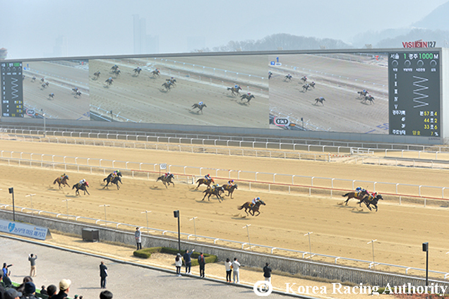 Racecourse : Seoul (Korea) Racecourse : Seoul (Korea)