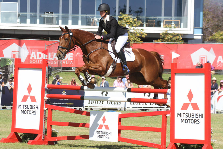Willingapark Clifford ridden by Hazel Shannon