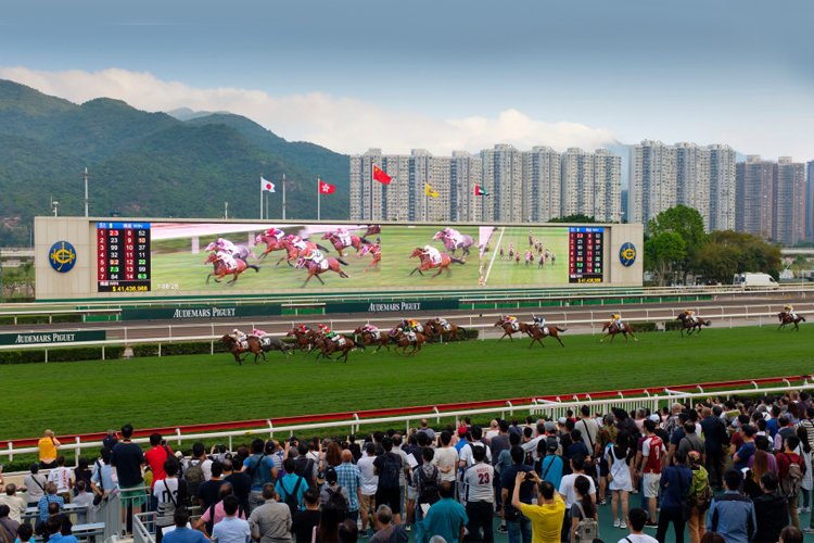 Racecourse : Sha Tin.