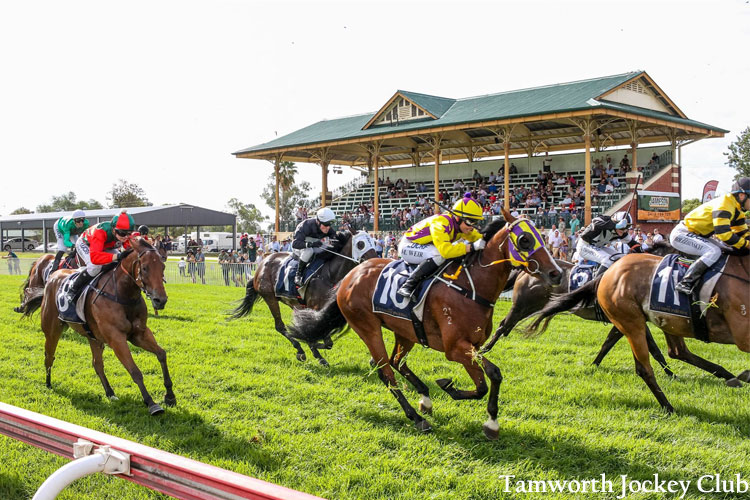 Racing at Tamworth.