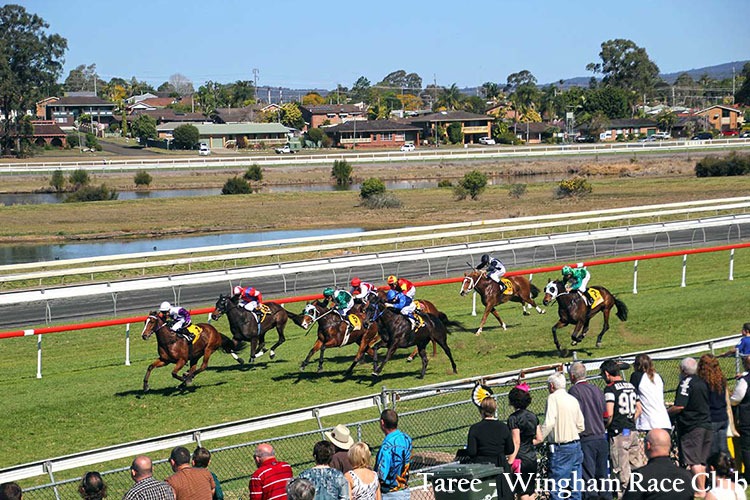 Racecourse : Taree.