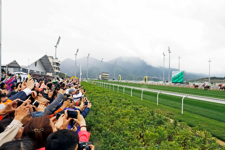 The thrill of horse racing at Conghua Racecourse.