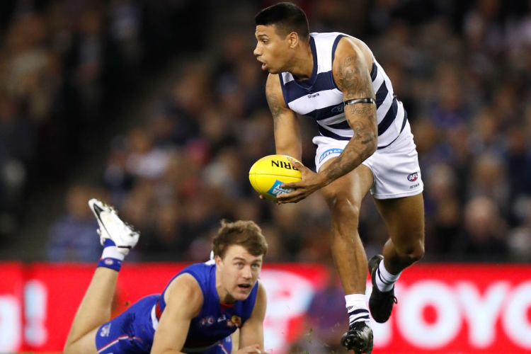 TIM KELLY of the Cats in action during the AFL match between the Western Bulldogs and the Geelong Cats at Marvel Stadium in Melbourne, Australia.