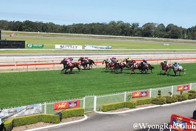 It's Wyong Cup Day