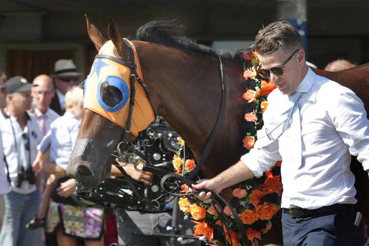Trainer: JAMIE RICHARDS Trainer: JAMIE RICHARDS