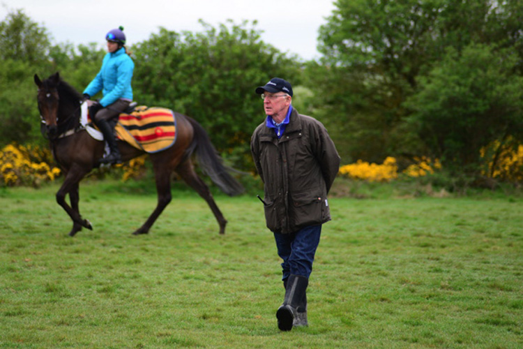Trainer - John Oxx with Skitter Scatter