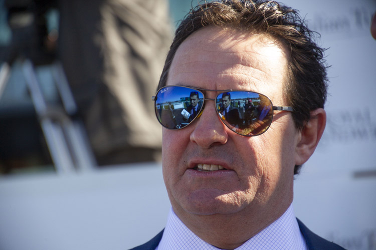Trainer: MICHAEL FREEDMAN after, Excellent Proposal winning the Australian Turf Club Hcp