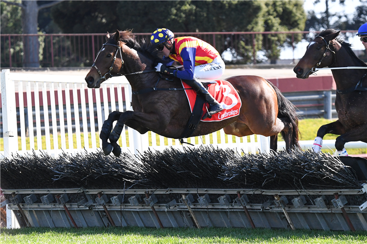 ABLAZE was the winner of a Jericho Cup.