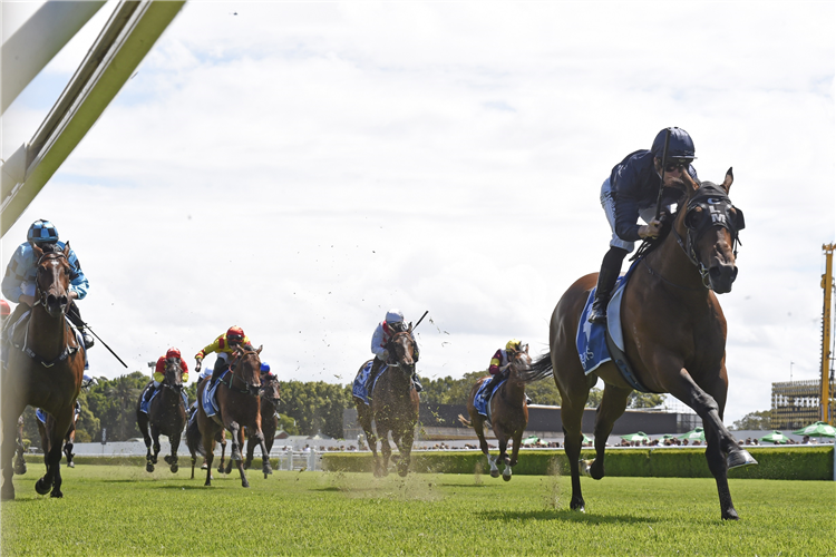 ACROBAT winning the Inglis Nursery at Randwick in Australia.