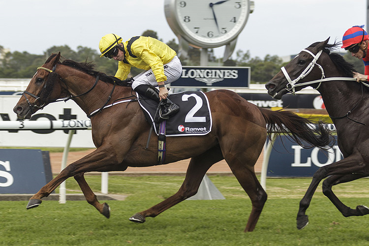 ADDEYBB winning the Ranvet Stakes