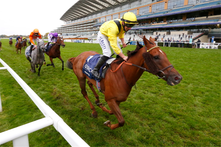 ADDEYBB winning the Qipco Champion Stakes (Group 1)