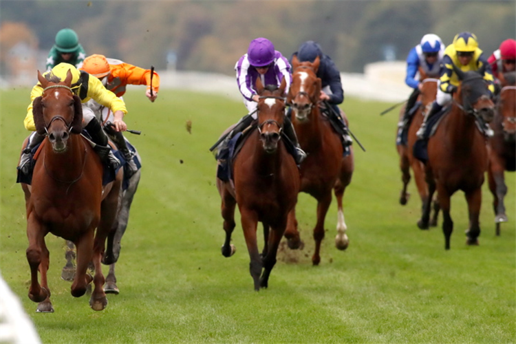 ADDEYBB winning the Qipco Champion Stakes (Group 1)