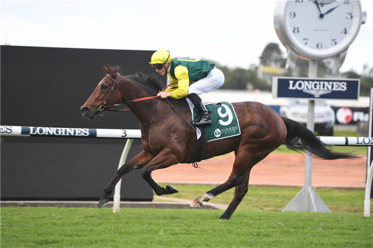 ADELONG winning the Vinery Stud Handicap.