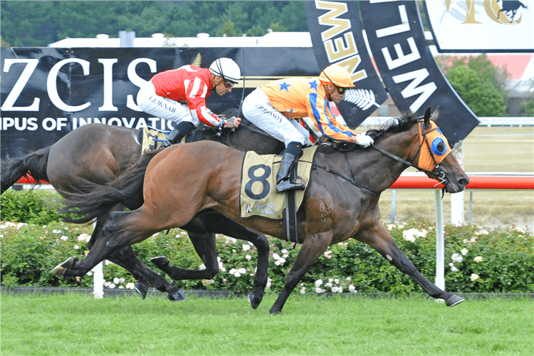 Avantage heads a brave Enzo’s Lad to win the Gr.1 JR & N Berkett Telegraph (1200m) at Trentham