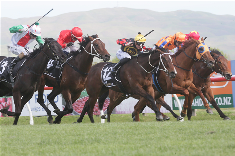 Aegon (far left) stretches out to snatch victory in the Gr.2 Dundeel at Arrowfield Hawke’s Bay Guineas (1400m)