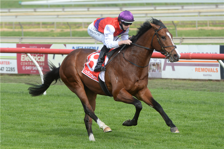 AIN'TNODEELDUN winning the Turnbull Toyota Maiden Plate in Sale, Australia.