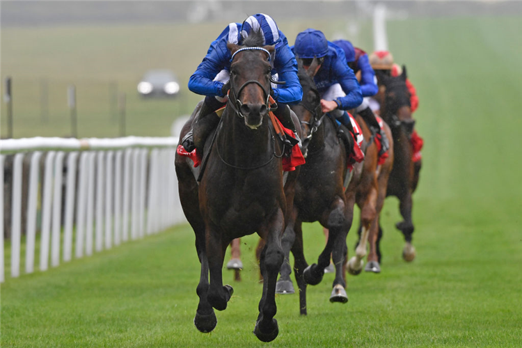 AL AASY winning the Bahrain Trophy Stakes during day one of The Moet and Chandon July Festival in Newmarket, England.