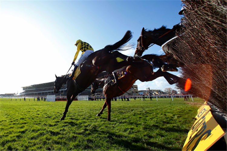 AL BOUM PHOTO winning the Magners Cheltenham Gold Cup Chase (Grade 1)