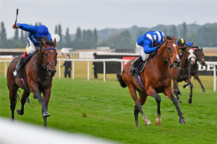 AL MADHAR winning the Watch and Bet with MansionBet at Newbury Novice Stakes (Div I) in Newbury, England.
