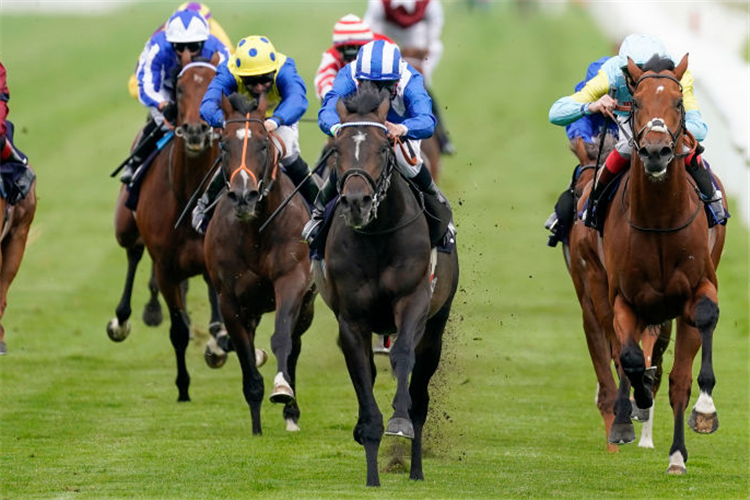 AL ZARAQAAN winning the Follow At The Races On Twitter Novice Stakes (Div 2) in Doncaster, England.